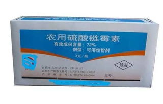 如何識別 怎么防 用什么藥 關于柑橘潰瘍病,最全知識都在這了